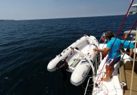 trække ud jolle på trimaran sejlbåd neel 45